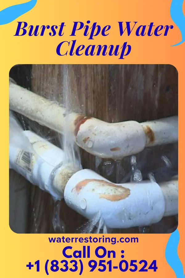 Burst Pipe Water Cleanup in Crocker, MO