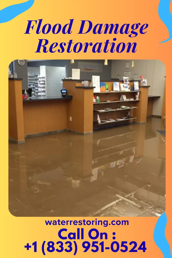 Flood Damage Restoration in Crocker, MO