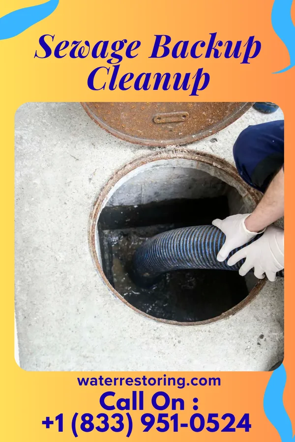 Sewage Backup Cleanup in Crocker, MO